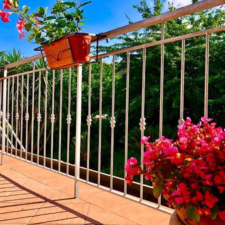 Il Ciliegio Villa Stella Cilento Exterior photo