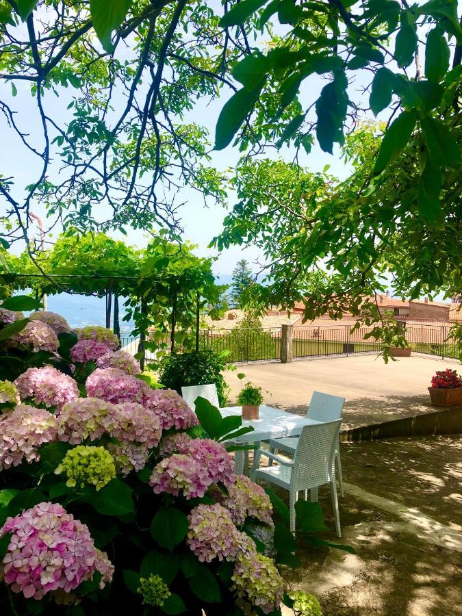 Il Ciliegio Villa Stella Cilento Exterior photo