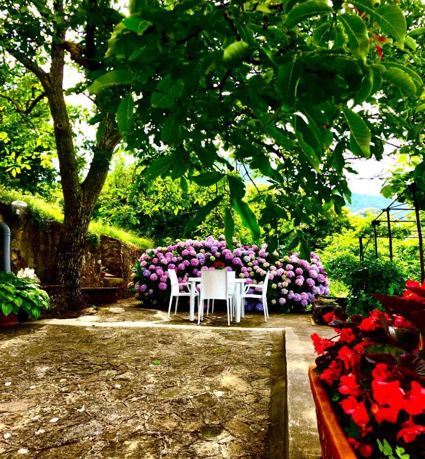 Il Ciliegio Villa Stella Cilento Exterior photo